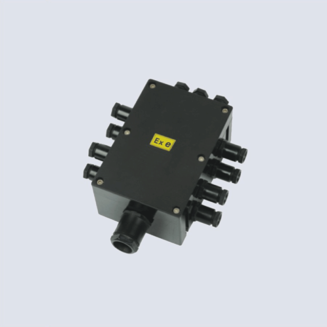 BJX8050系列防爆防腐接線箱(II C、 ExtD)